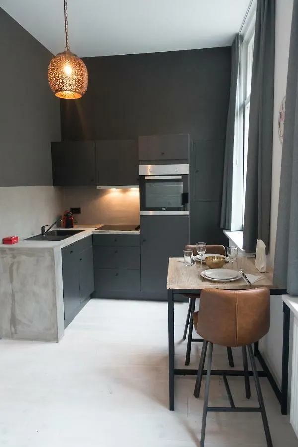 Nest Apartment And Duplex City Center Antwerp Belgium